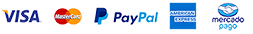 Pago Seguro